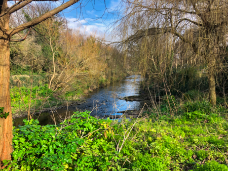 Picture of a stream in Dublin, Ireland